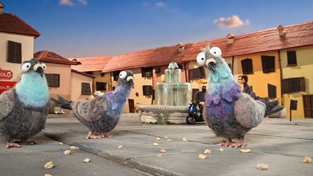Canva's creative pigeon returns to help a stray cat find a home