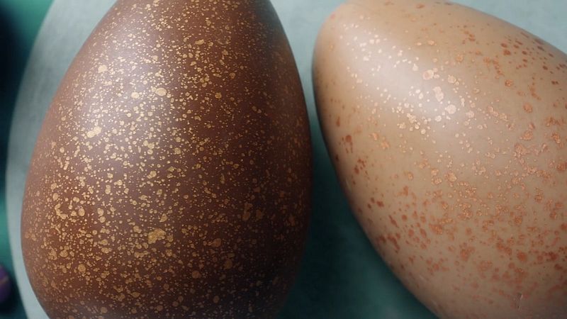 Easter Egg & Hot Cross Buns