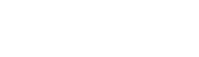 Verve Media