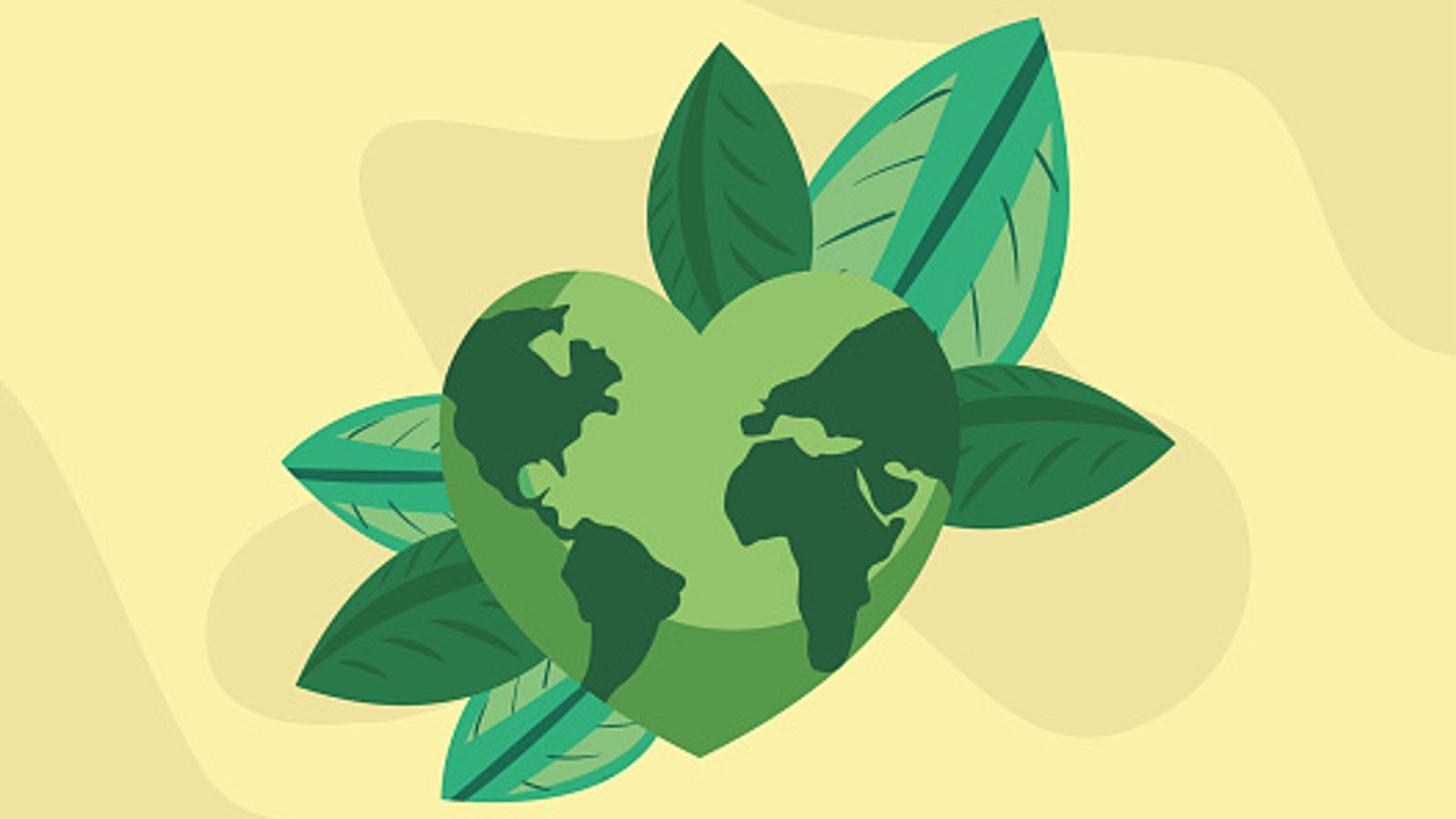 Turning B Corp into a cultural shift