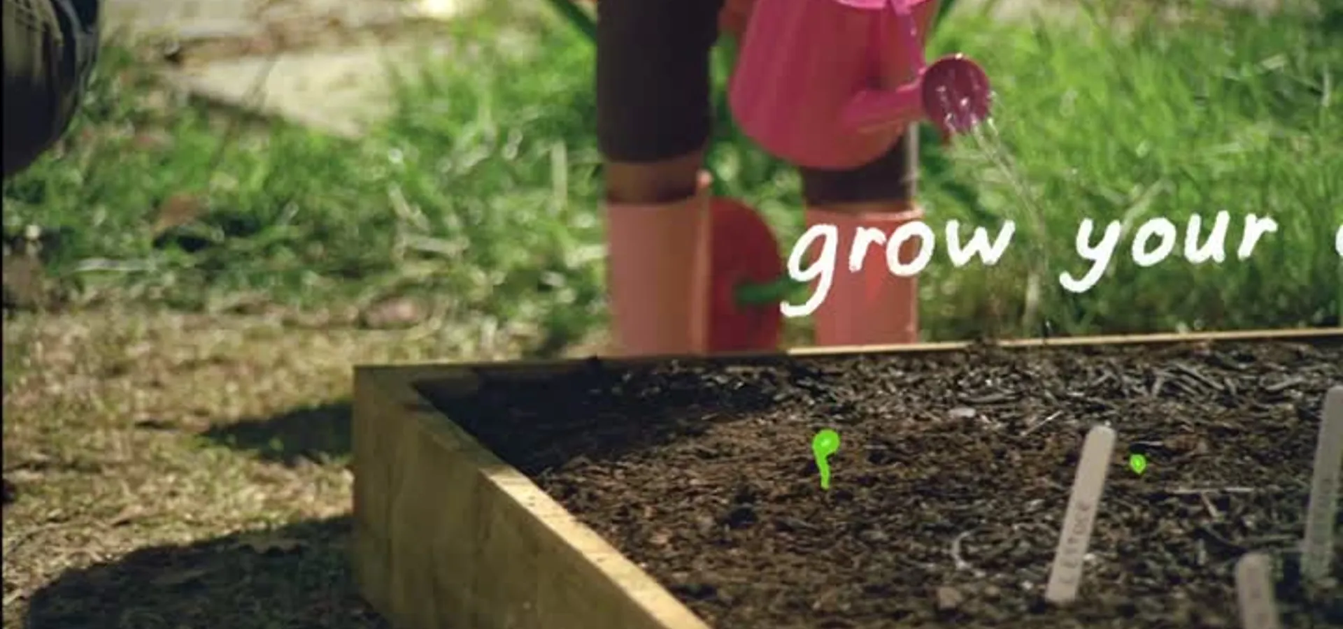 Grow Your Own