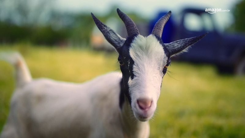 Amazon BlackFriday  US VO