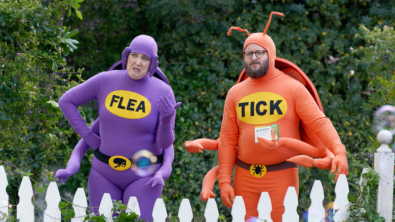 Flea & Tick