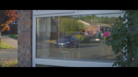 Are friends (and neighbours) electric?