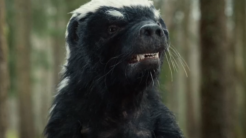 Endura 'Honey Badger'
