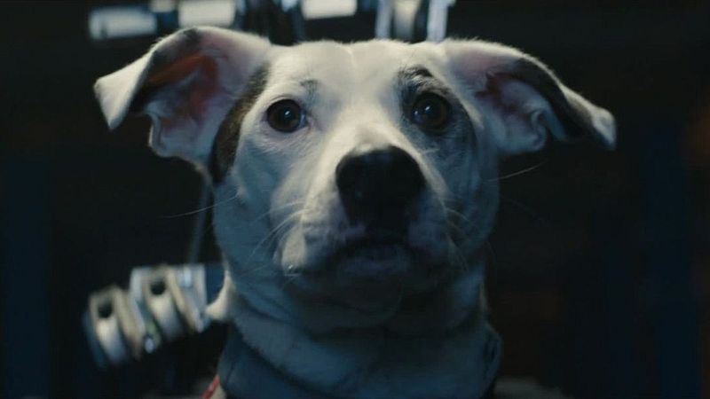 The Chemical Brothers