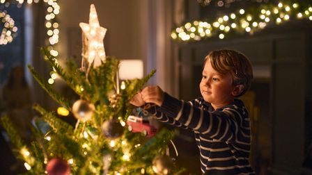 Finding the perfect Christmas tree with The Home Depot