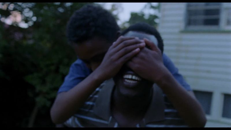 All These Creatures - Trailer