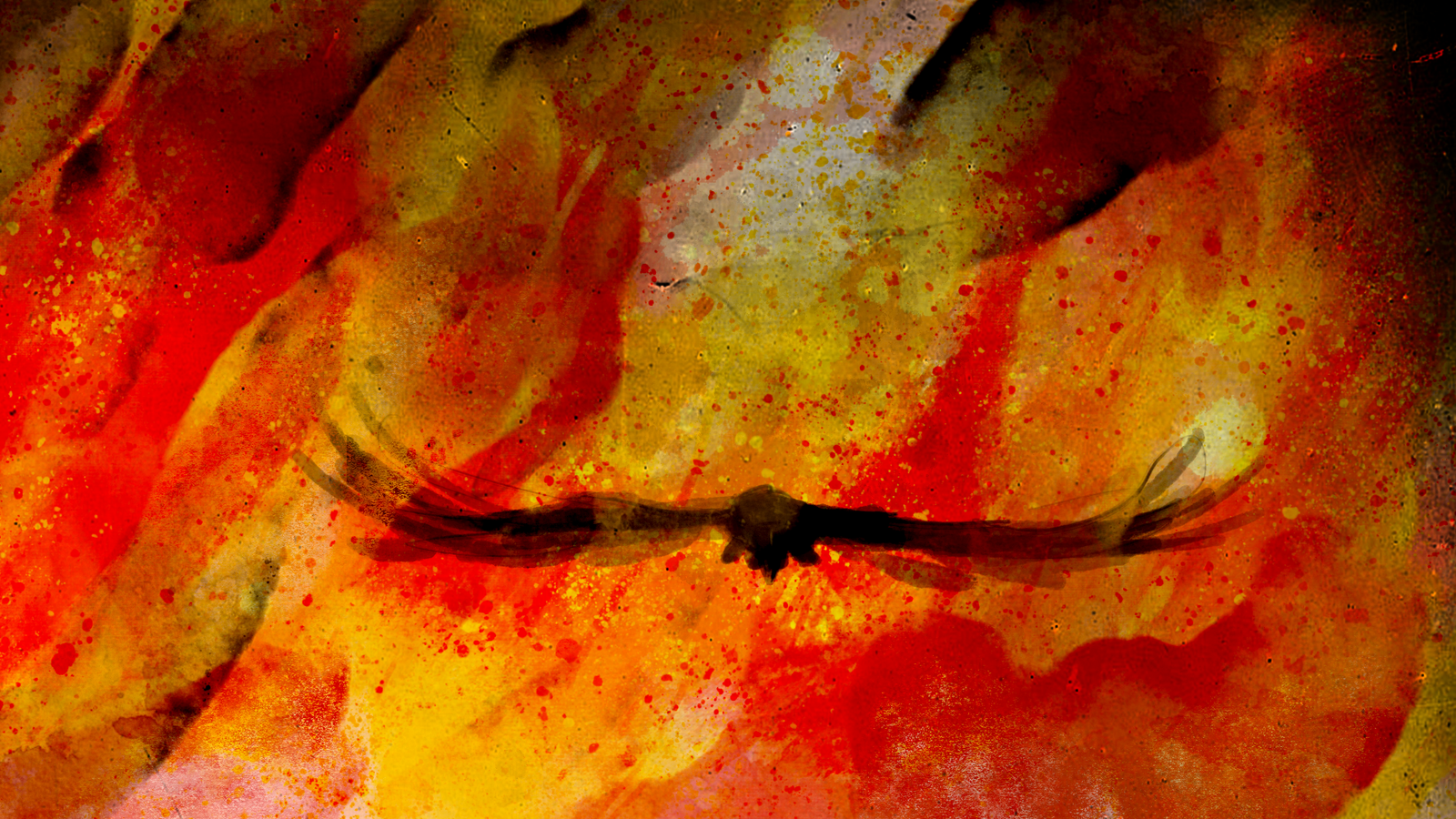 the Fire
