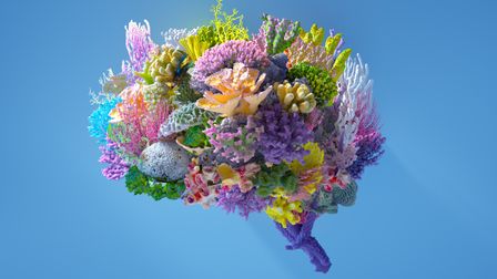 Why mental wellbeing is the key to creativity