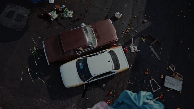 International Committee of the Red Cross