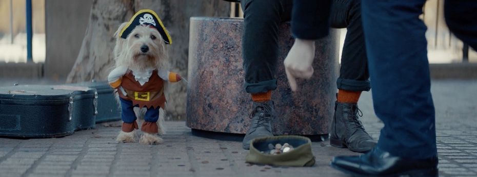 Busker and Dog