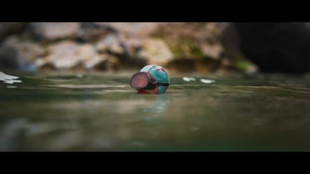 Karni & Saul capture a species in deep waters