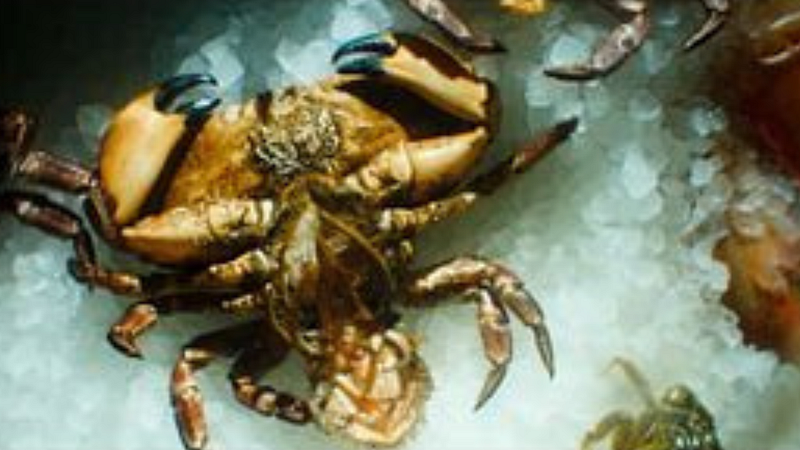 Röyksopp - A Crab & A Pipe