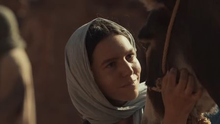 Erste Group’s humble hero