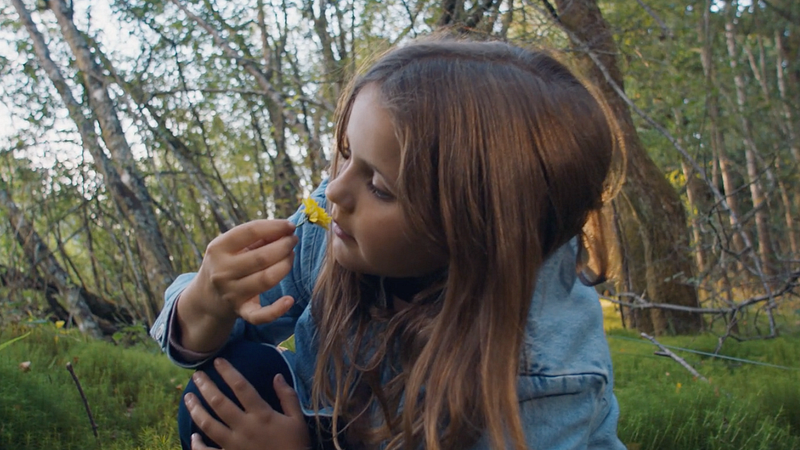 sky_atlantic x volvo 'wild things'