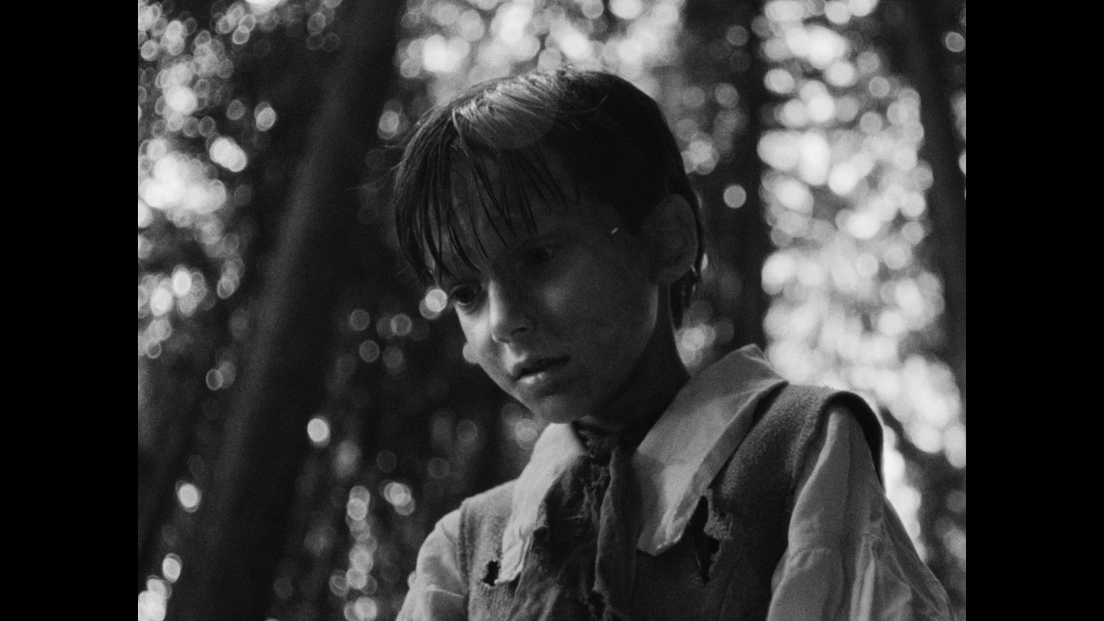 Oat Cult gives us a taste of horror