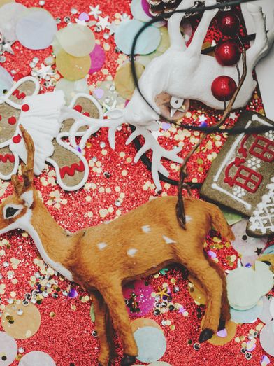 The Christmas Focus