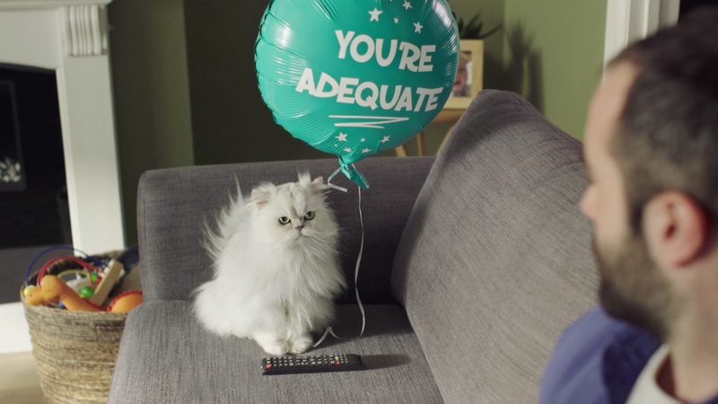 Onken yoghurt cat advert discount