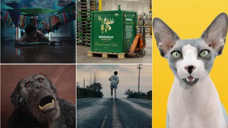 Cannes Contenders: Canada