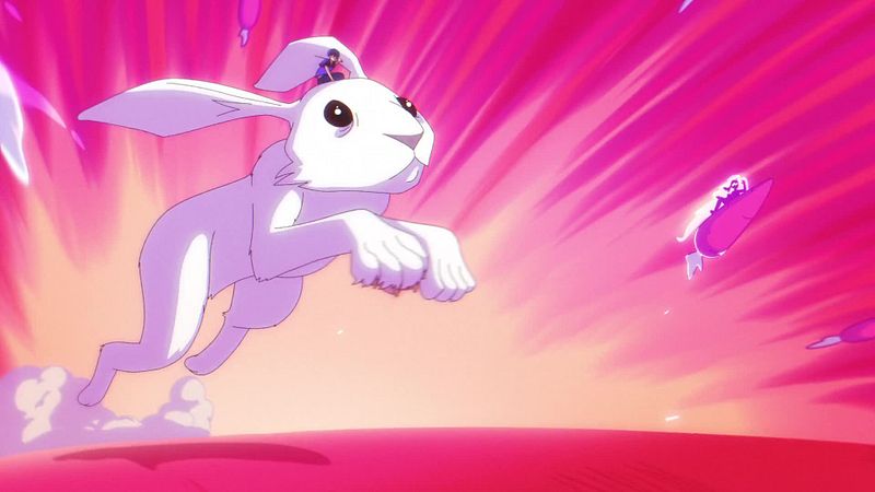 Rabbit Rockets | Ready to the Fight