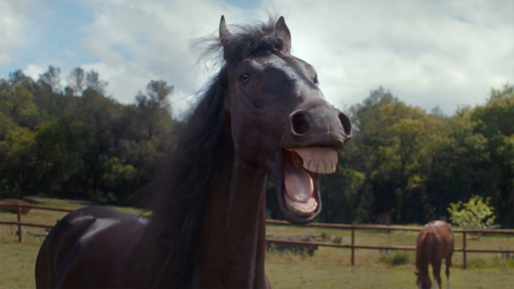 Laughing Horse