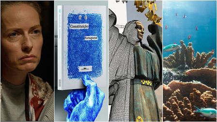Cannes Lions 22: Film Craft, Digital Craft, Industry Craft and Design Lions winners
