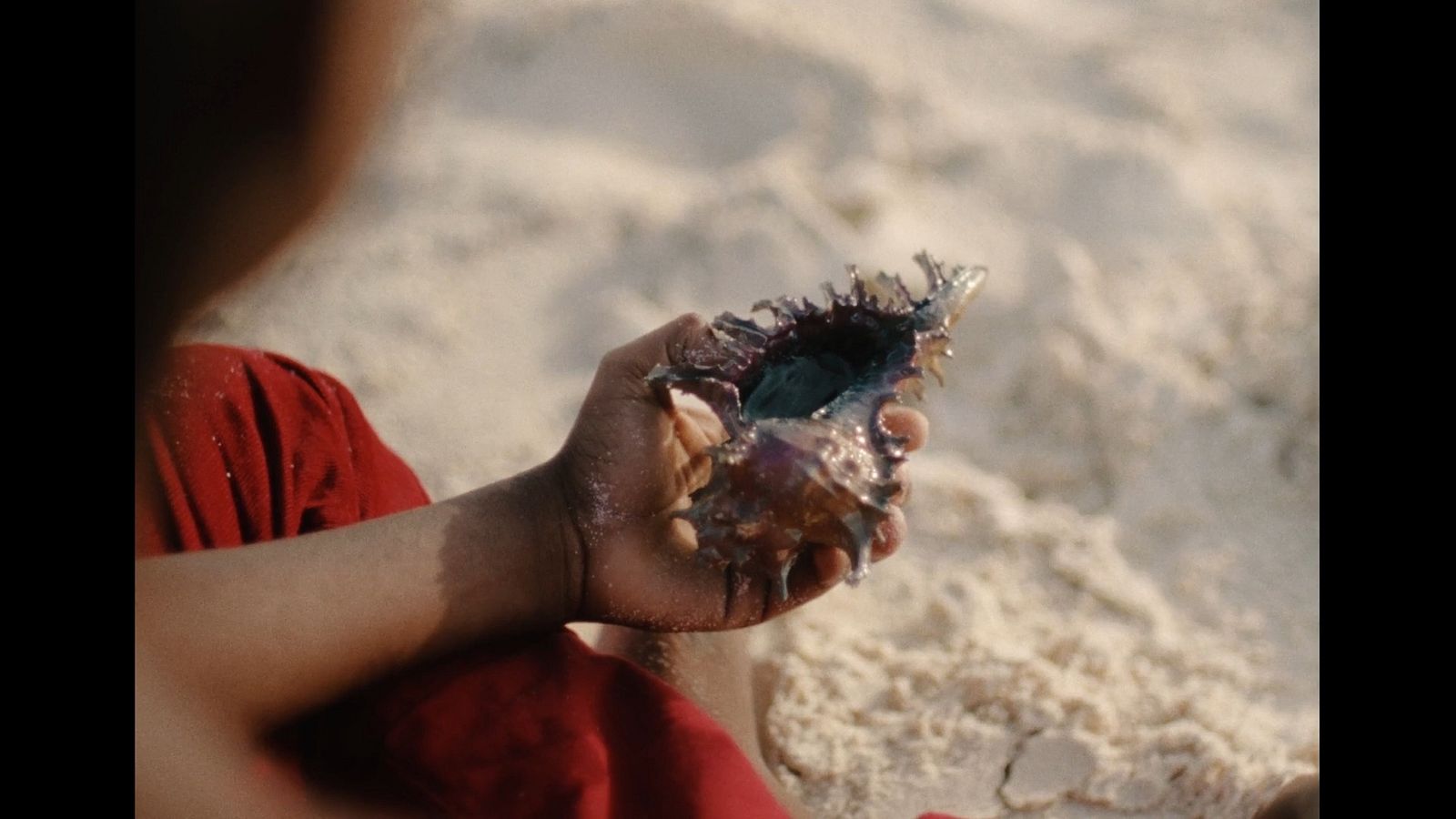 Arif traces identity across time and tide