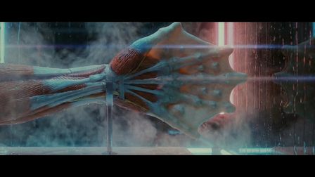 EROTIKA's naughty-ral selection