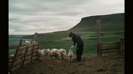 Niall O’Brien’s moving tribute to Talos