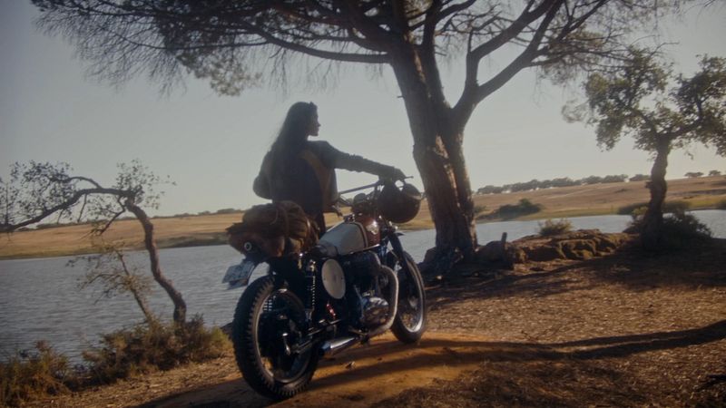 Pandora "what do you love"