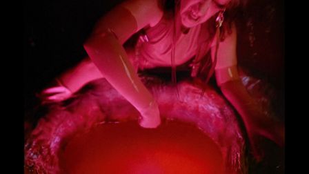 Peaches teaches post-apocalyptic pleasure