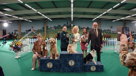 T&P partners with Pets at Home
