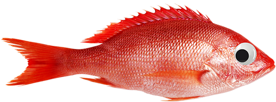Snapper Films