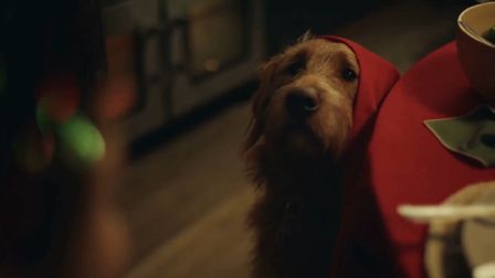 Dogs Trust says ‘Thank You for My Happy Place’