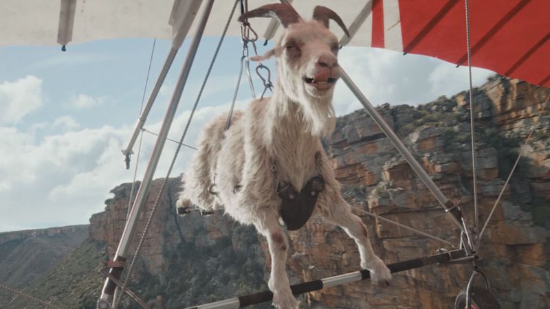 Goat Glider