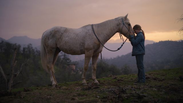 Wrangler: Long Live Cowgirls