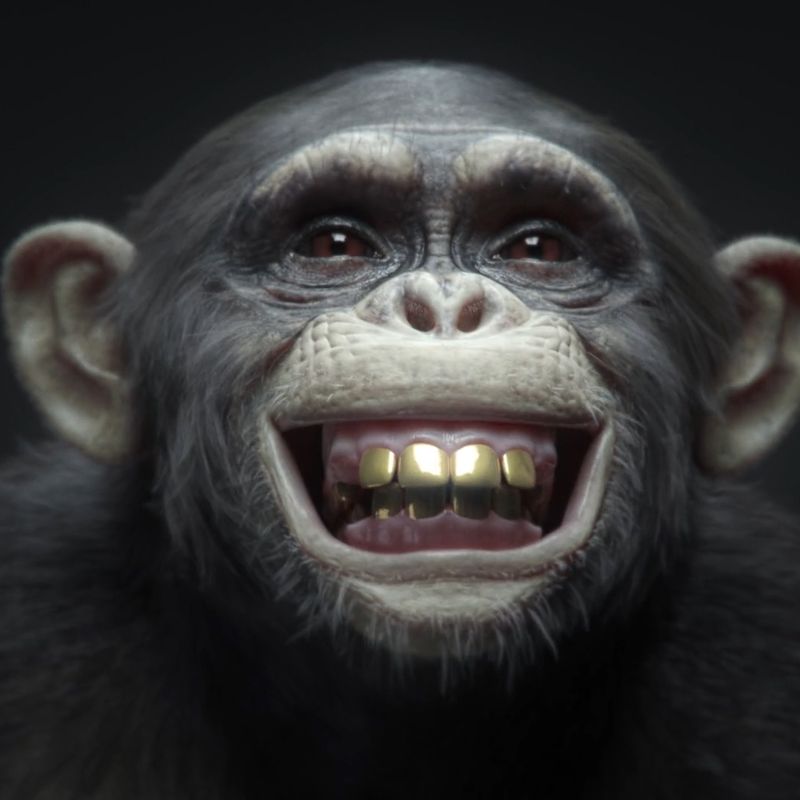 Winamax - Monkeys