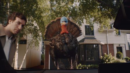 Keep calm and rock on with Plymouth Rock Assurance