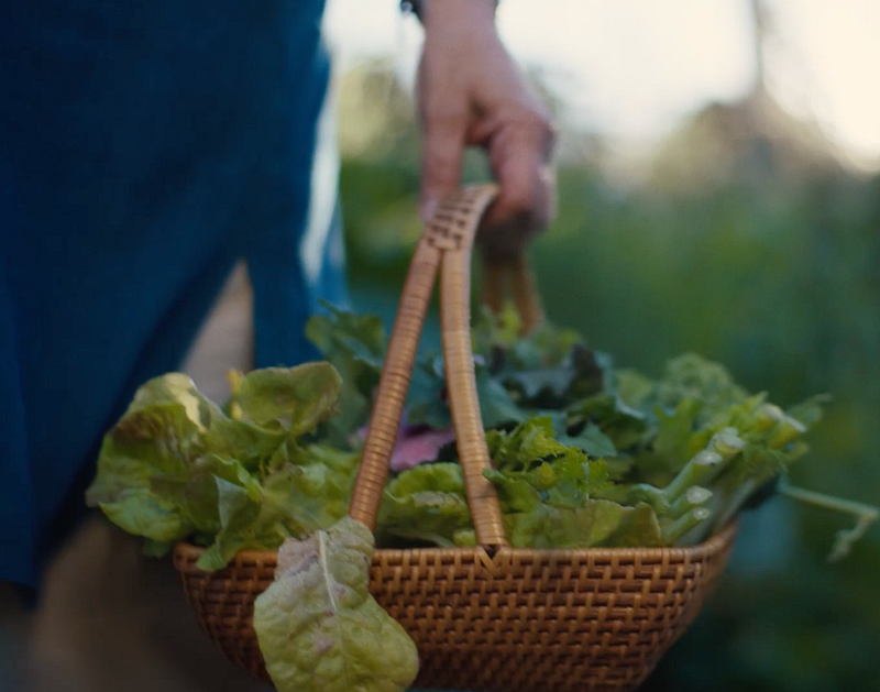 A celebration of commitment and quality with Amy's Kitchen