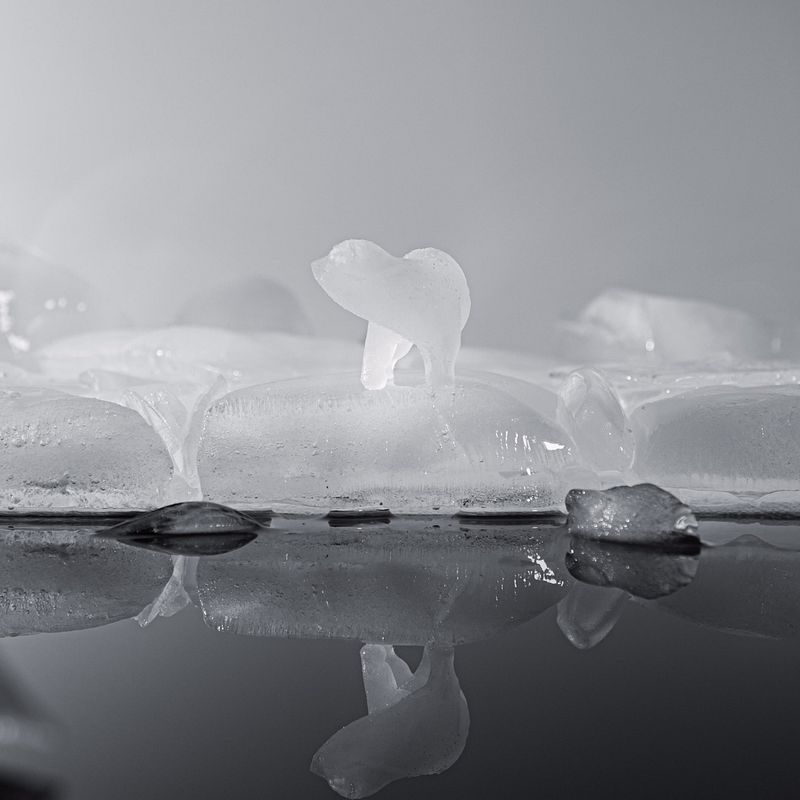 WWF - Can't negotiate the melting point of ice