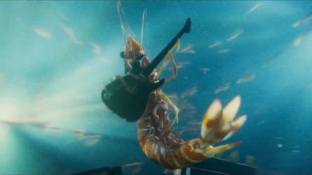 Skull Island Prawns shows that shrimps ain't wimps