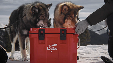 Orijen debuts the world’s most extreme unboxing