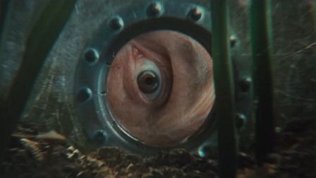 Nicolai Fuglsig takes care of Xbox