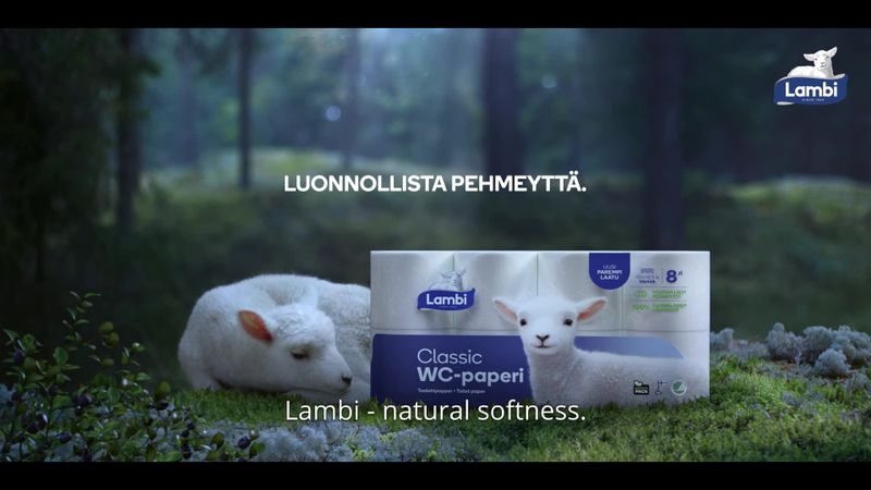 Lambi
