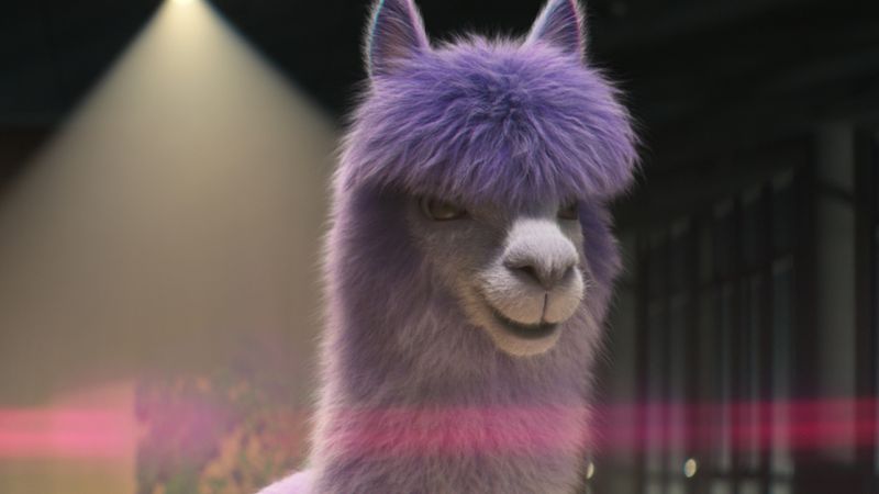 Llama Love