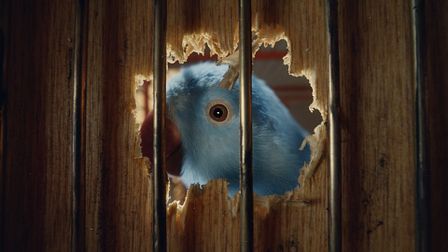 Erste Bank's birdy breakout