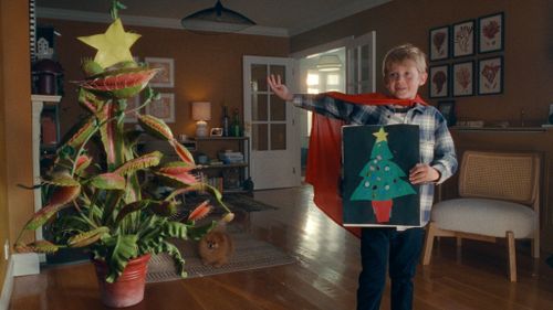 Anatomy of an Ad: Snapper; The Perfect Tree
