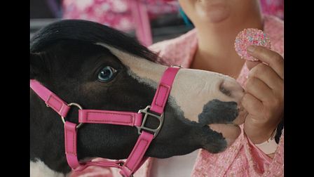 Griffin’s' sweet slices of life