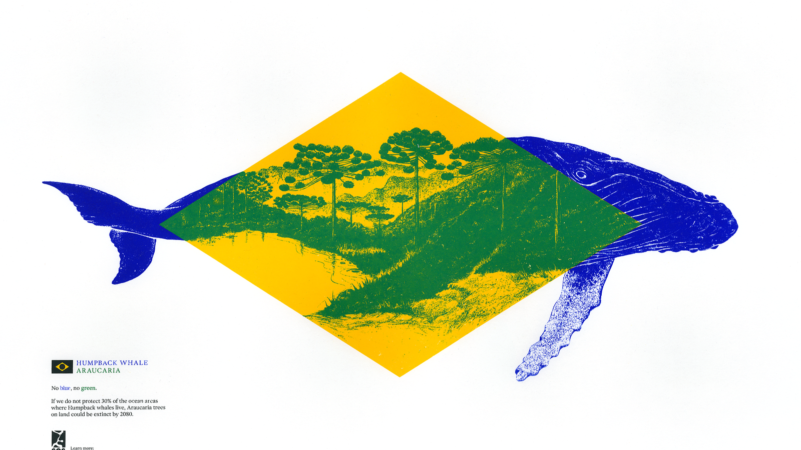 SOS Oceano flags up a warning